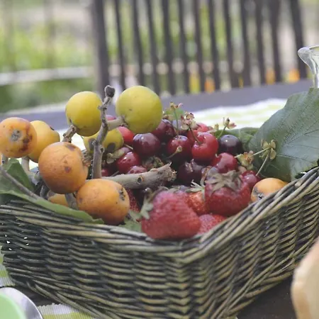 In - Ligurische Riviera 22443 Pompeiana